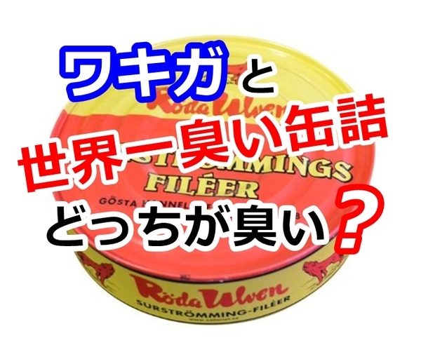 f:id:tp315:20180611113741j:plain f:id:tp315:20180611113741j:plain