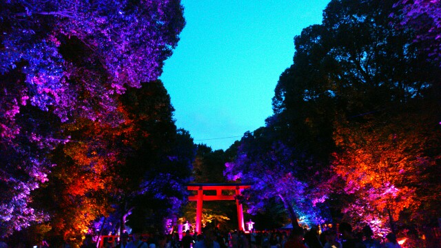 f:id:tp921:20160820174144j:image f:id:tp921:20160820174144j:image