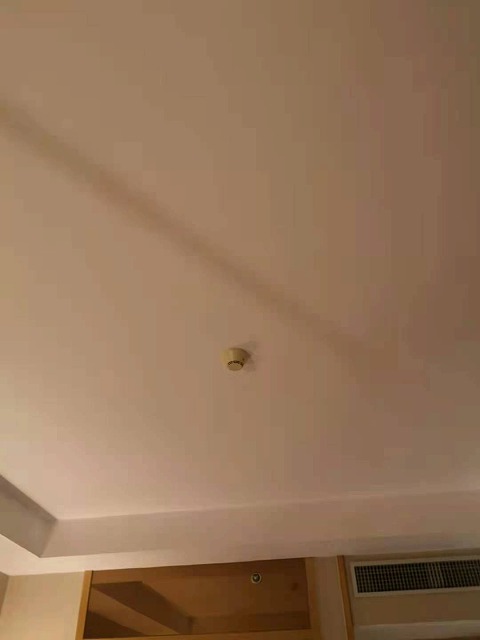 f:id:tpakira:20210625182231j:plain