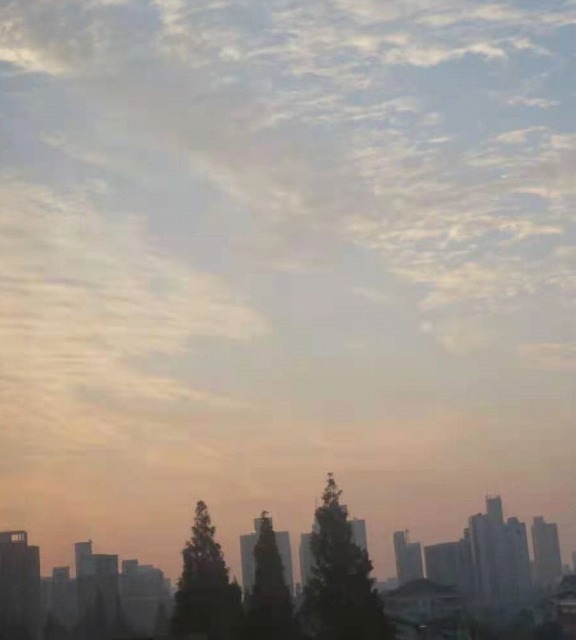 f:id:tpakira:20210625182245j:plain