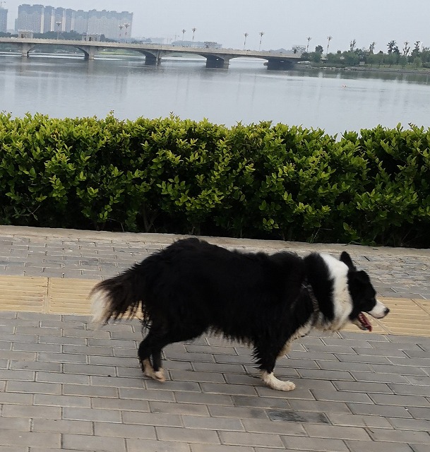 f:id:tpakira:20211006154821j:plain