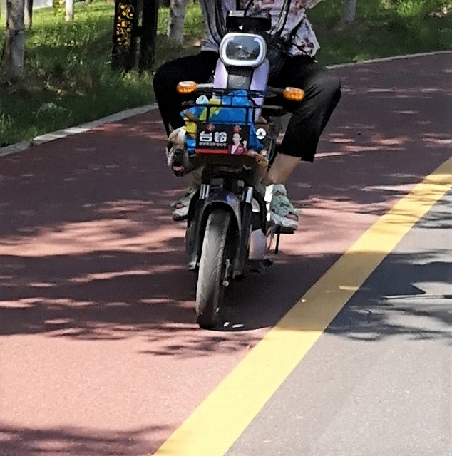 f:id:tpakira:20211006154843j:plain