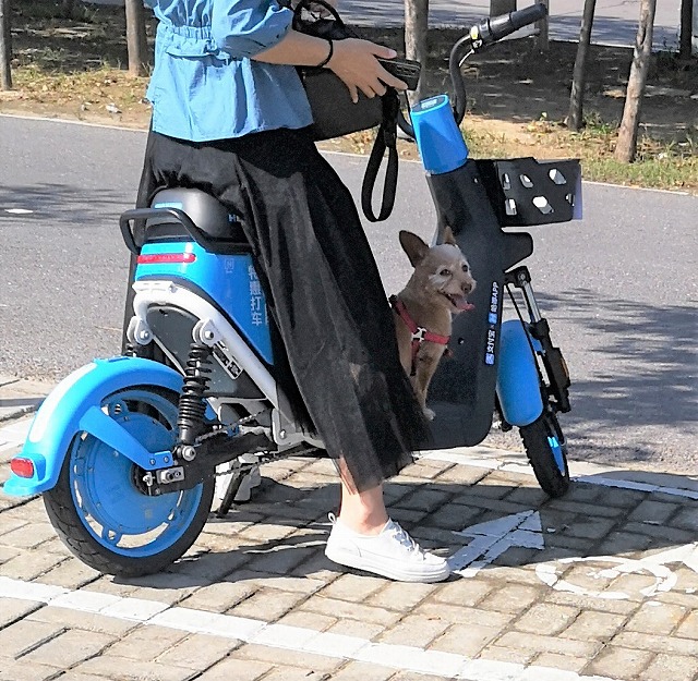 f:id:tpakira:20211006154859j:plain