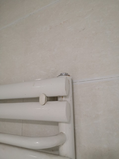 f:id:tpakira:20211203185938j:plain