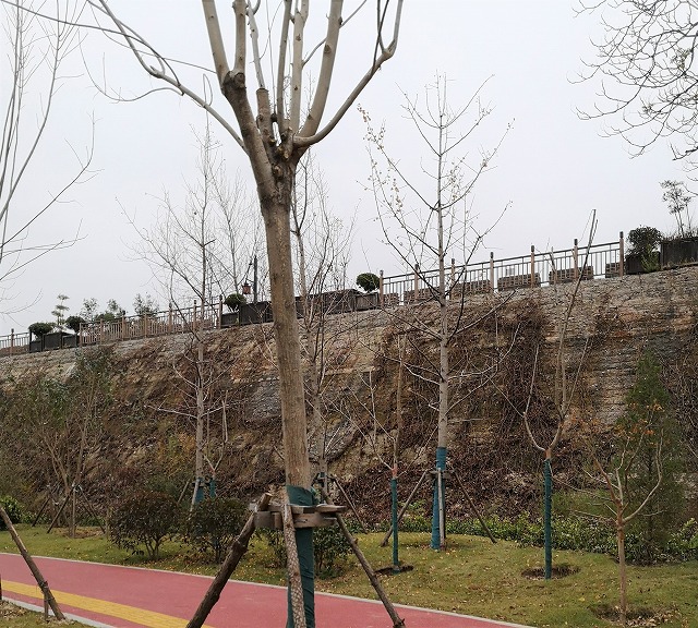 f:id:tpakira:20211219184355j:plain