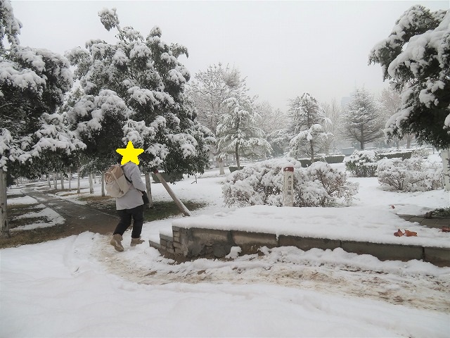 f:id:tpakira:20220105191830j:plain