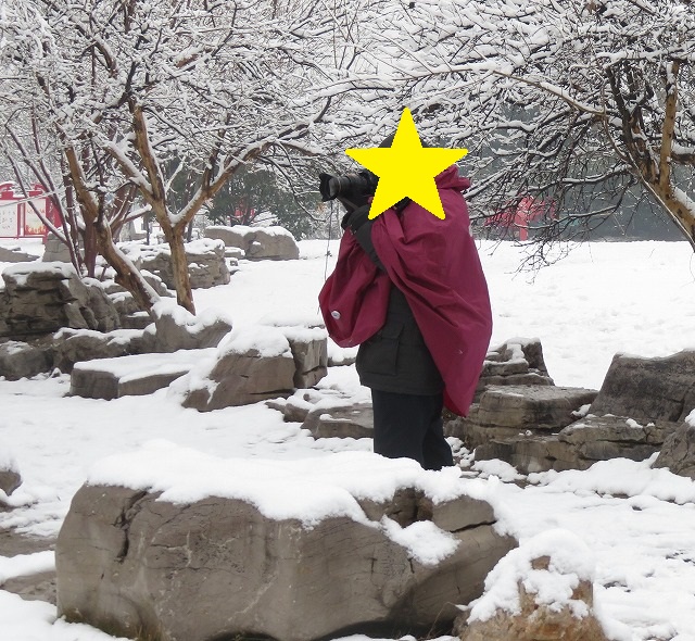 f:id:tpakira:20220105191844j:plain