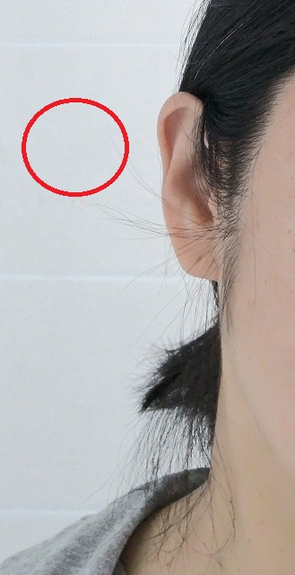 f:id:tpakira:20220310161025j:plain