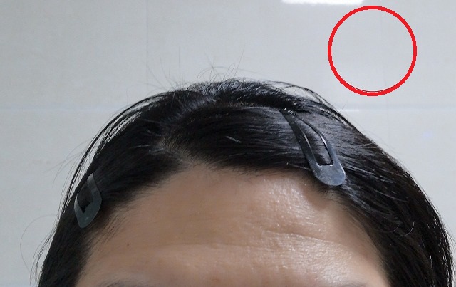 f:id:tpakira:20220310161037j:plain