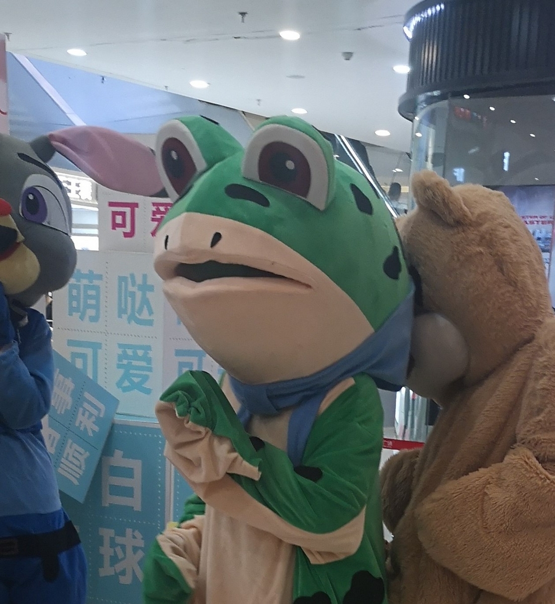 この蛙は何者？気になる着ぐるみ、中国で大人気かもしれないカエルのキャラクターを最近あちこちで目にする件 - ぱきらの中国（河南省開封）生活