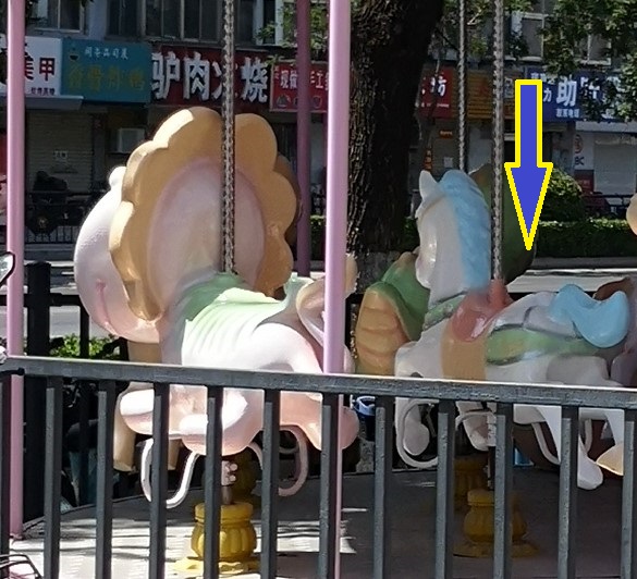 みんな個性豊かすぎ～♪中国河南省開封市、馬以外が回っている