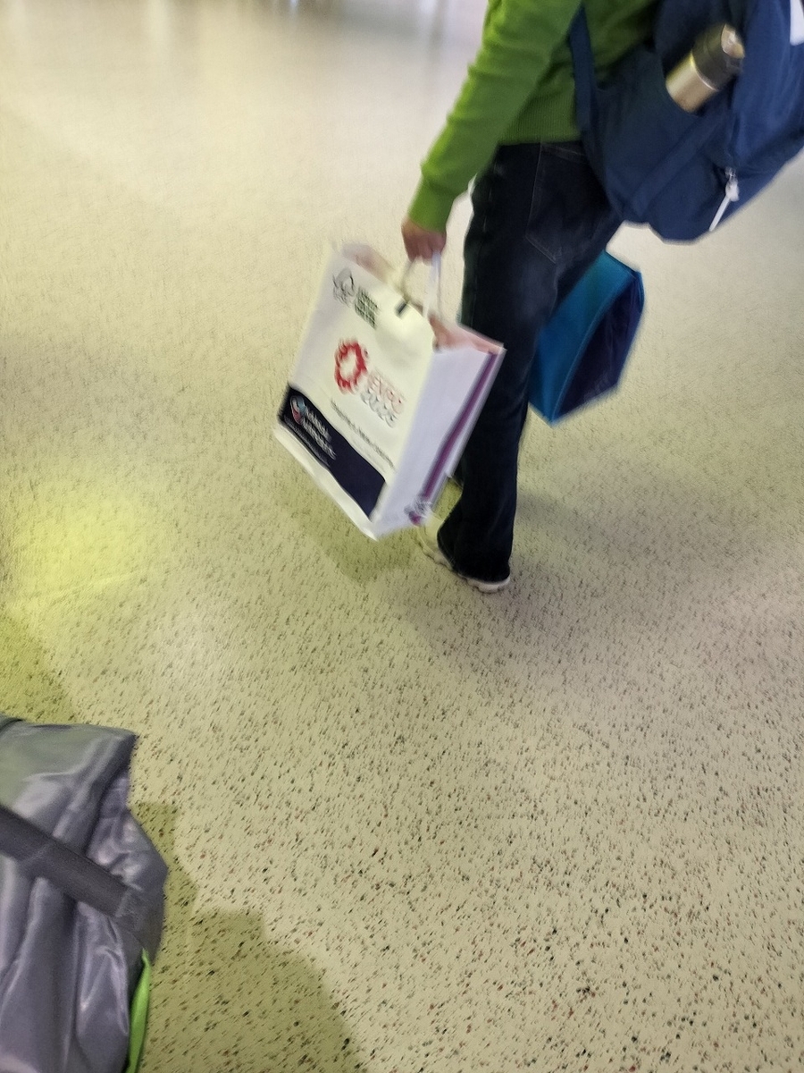 関西万博 大 紙袋 新品 38枚 大量 ミャクミャク 完全持ち帰りのみ 稀少 大阪関西万博 EXPO2025 ミャクミャク 紙袋 ショッパー 日本館 パンフ