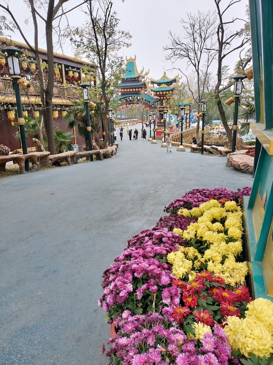 秋から初冬の中国旅行に開封市観光はいかがですか？菊祭りが終了した後