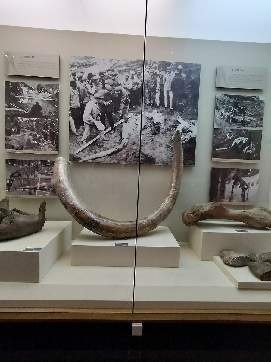 中国とロシアの国境を遠目に望む＆マンモス公園横のジャライノール