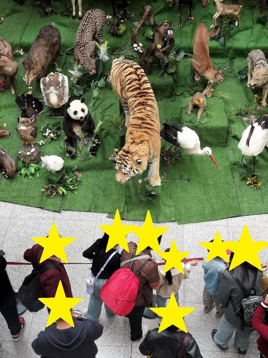 中国黒竜江省博物館＆ハルビンの町散策で不可移動文物探しゲーム