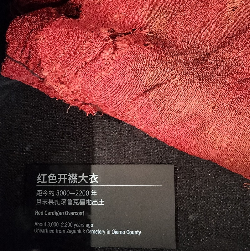 まるで地球のタイムカプセル！？自然にミイラが出来る理由(羊のスープ