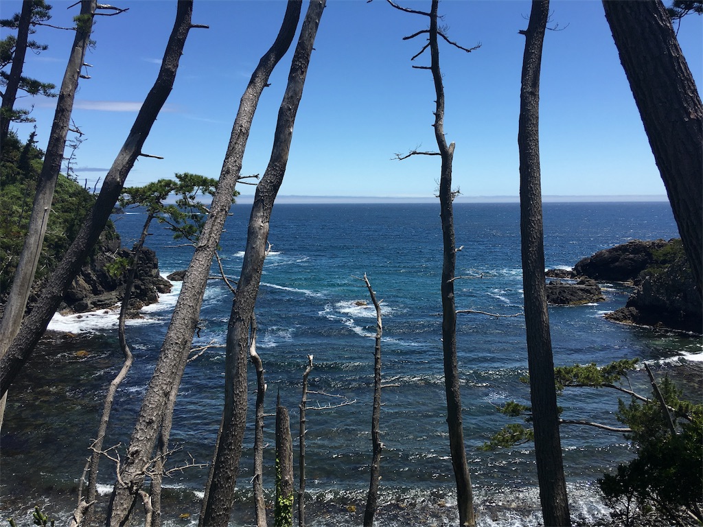 f:id:tpippi:20190715155549j:image