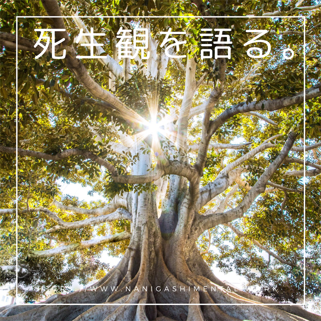 f:id:tpippi:20190803045926p:image