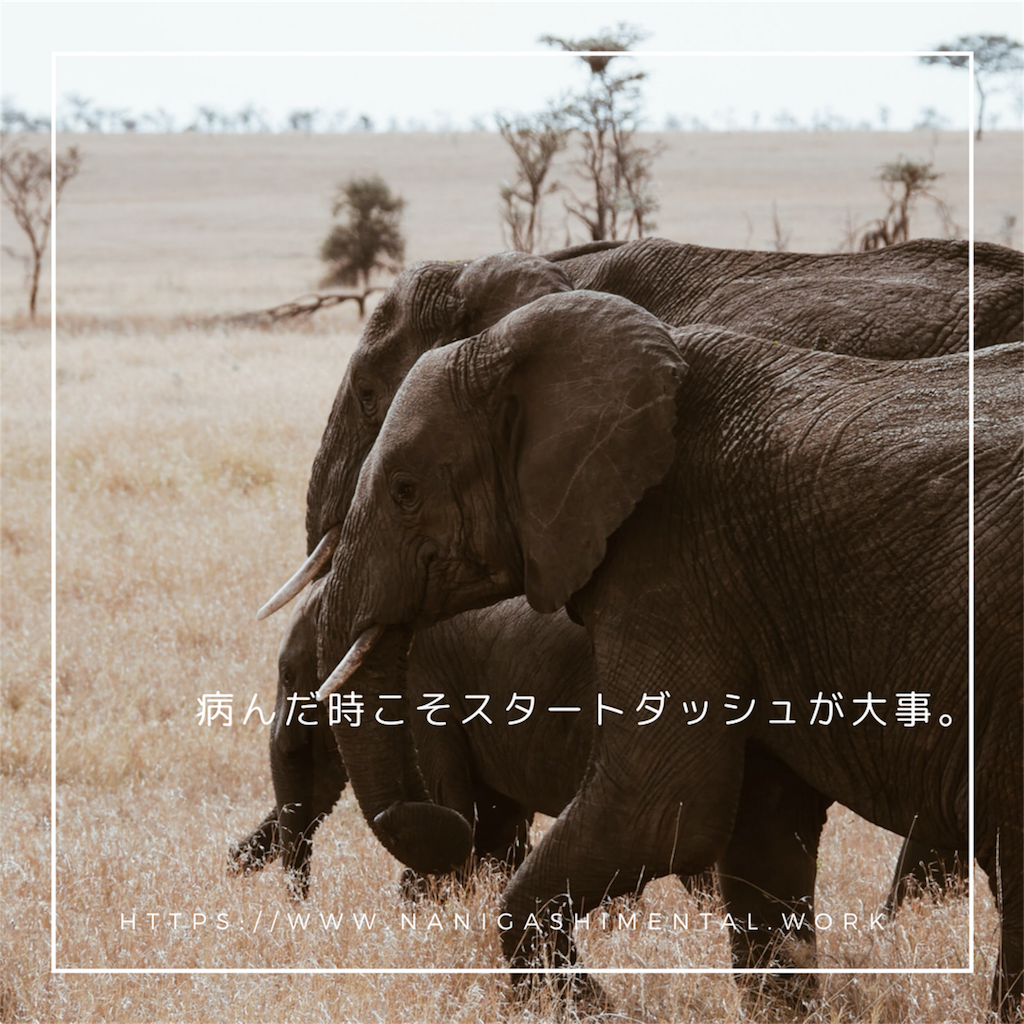 f:id:tpippi:20191008092647p:image