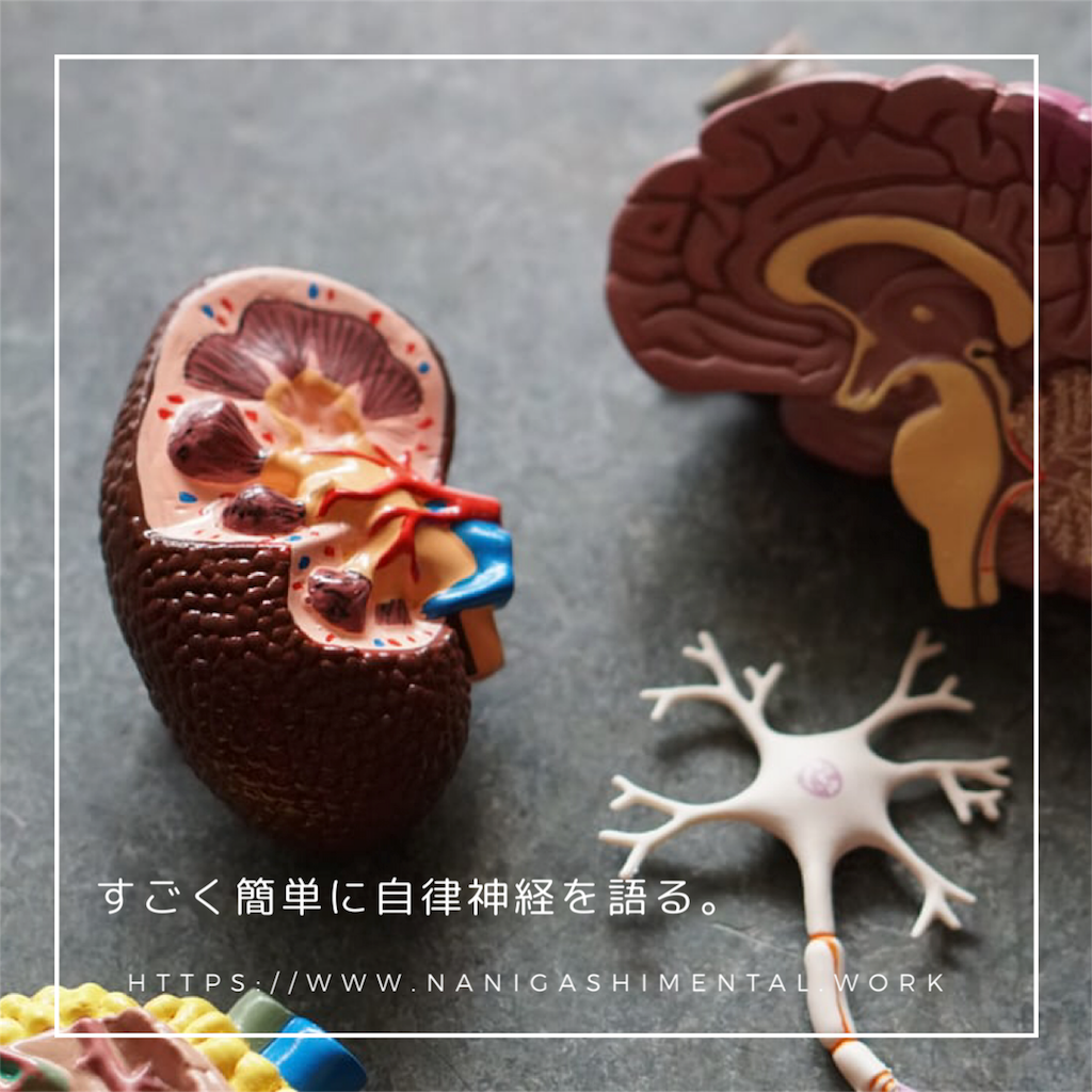 f:id:tpippi:20191126160302p:image