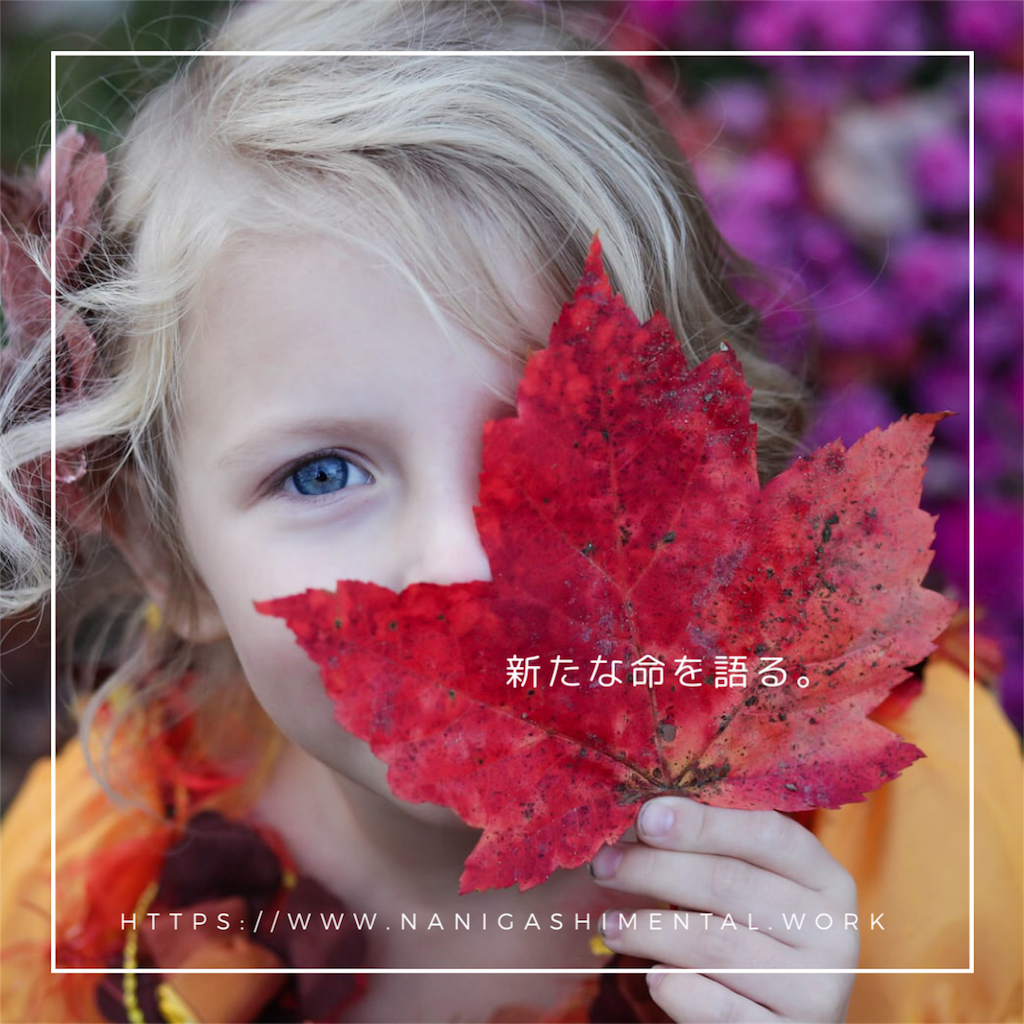f:id:tpippi:20200114224828p:image