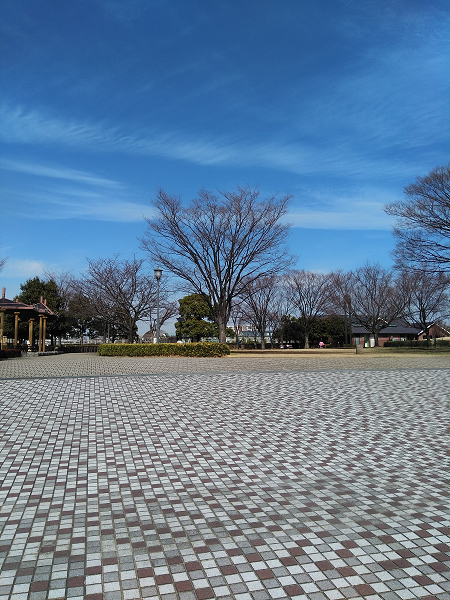 f:id:tppp:20180303163109j:plain