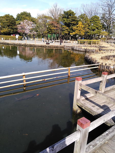 f:id:tppp:20180303163336j:plain