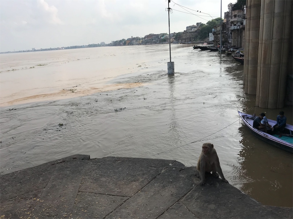 f:id:tptp3340:20190604023138j:image f:id:tptp3340:20190604023138j:image