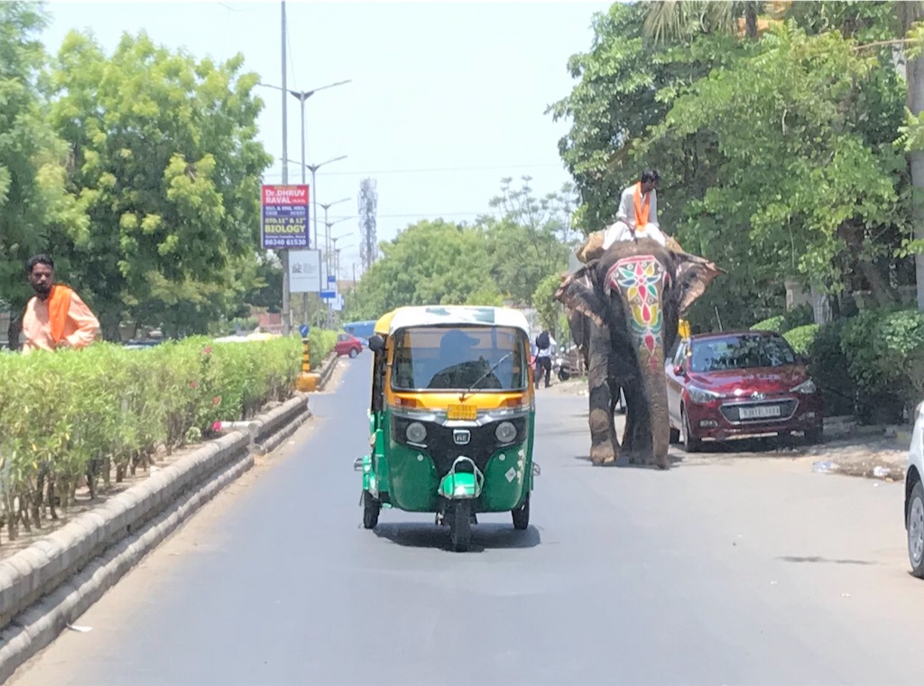 f:id:tptp3340:20190604023202j:image f:id:tptp3340:20190604023202j:image