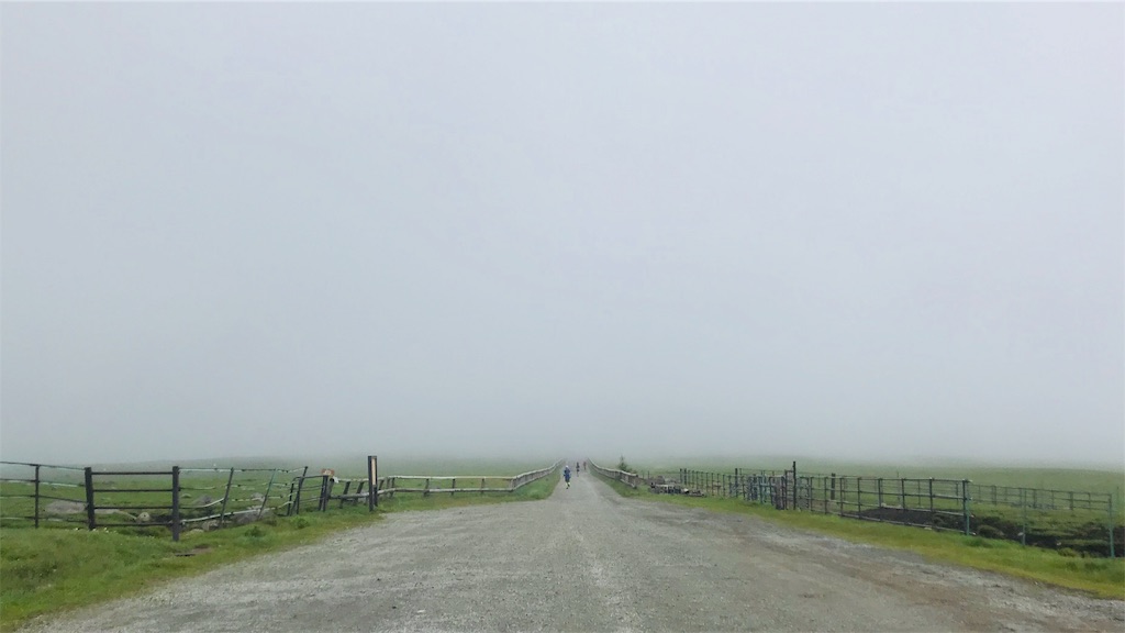 f:id:tptsuyo:20190630045100j:image f:id:tptsuyo:20190630045100j:image