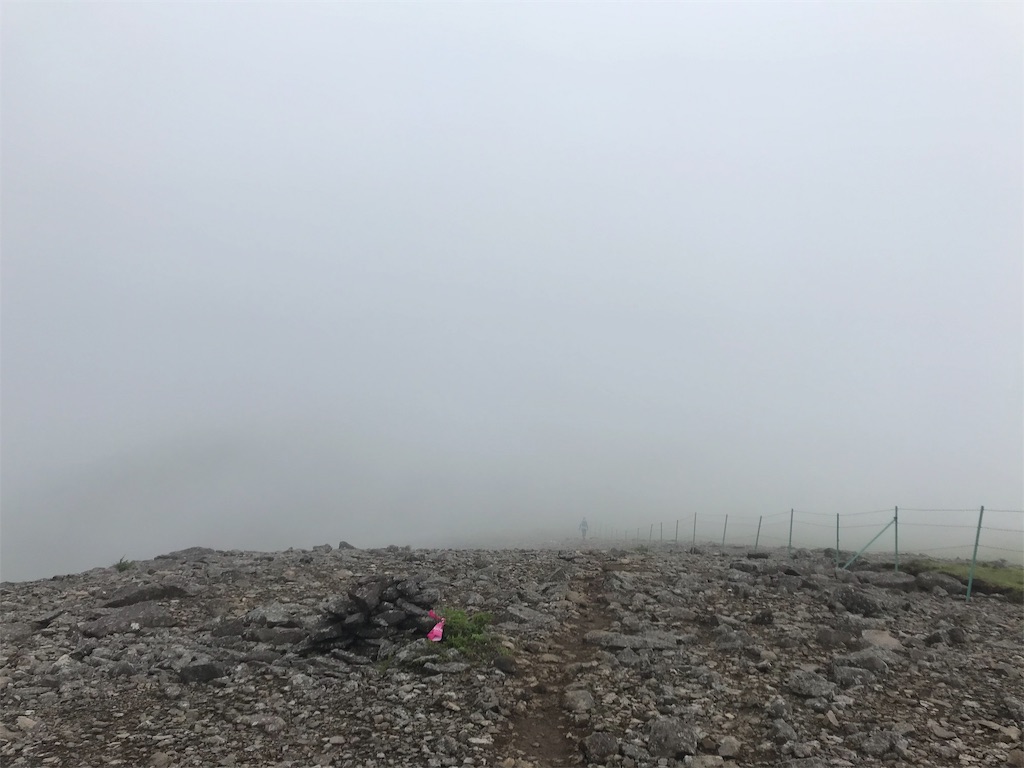 f:id:tptsuyo:20190630045103j:image f:id:tptsuyo:20190630045103j:image