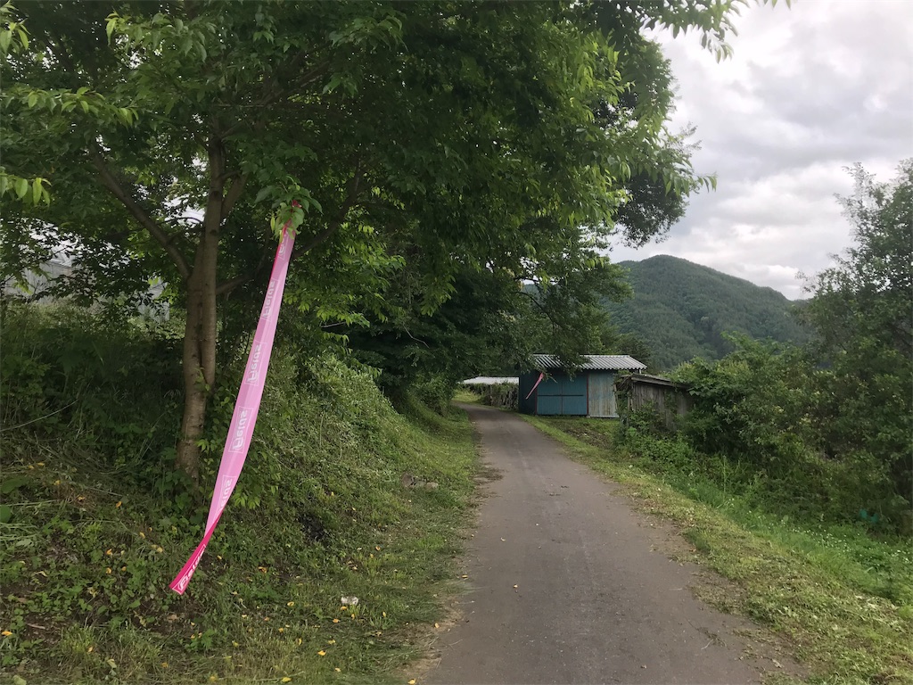 f:id:tptsuyo:20190630050819j:image f:id:tptsuyo:20190630050819j:image