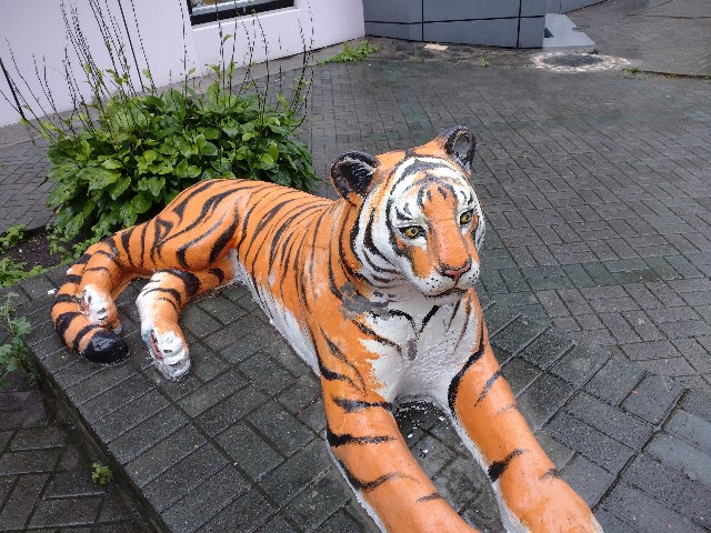 f:id:tr_memo:20190824154255j:image f:id:tr_memo:20190824154255j:image