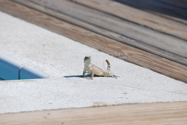 f:id:tra-tre_nonkk:20160623160522j:plain