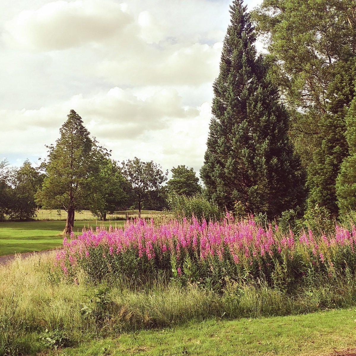 f:id:tra_live:20200621071330j:plain f:id:tra_live:20200621071330j:plain