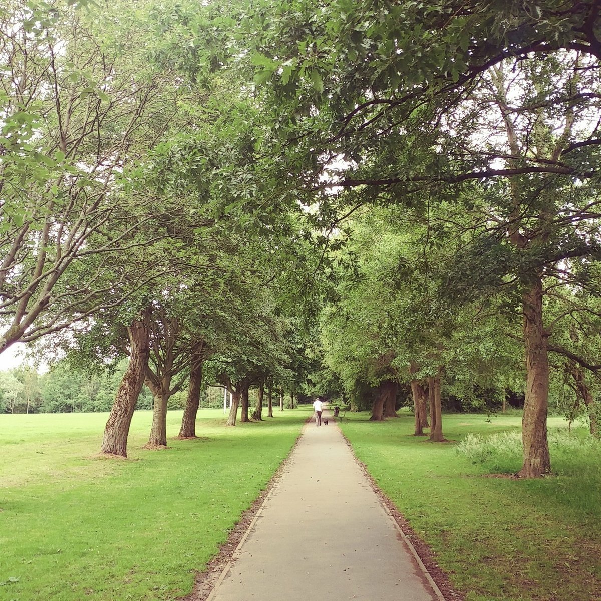 f:id:tra_live:20200621071826j:plain f:id:tra_live:20200621071826j:plain