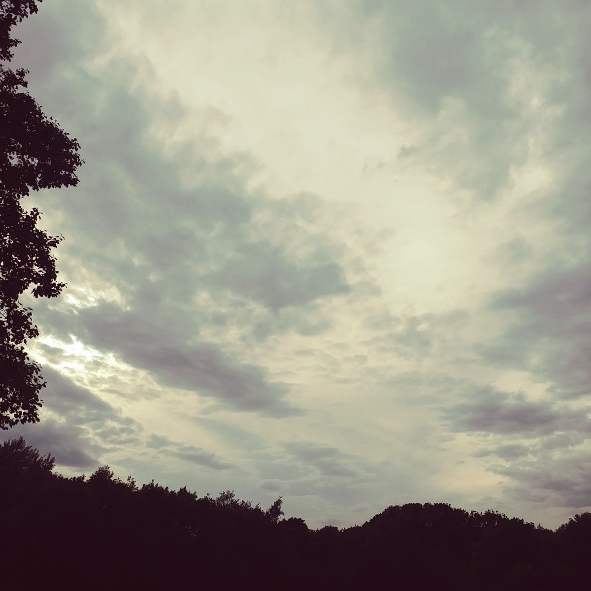 f:id:tra_live:20200621072009j:plain f:id:tra_live:20200621072009j:plain