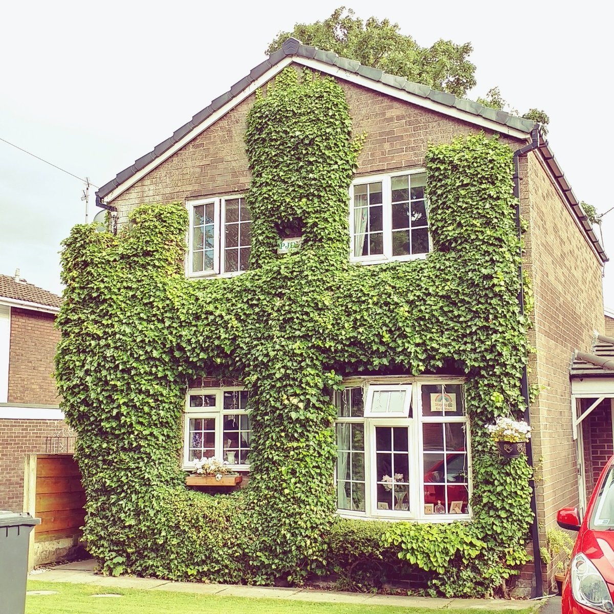 f:id:tra_live:20200704071741j:plain f:id:tra_live:20200704071741j:plain