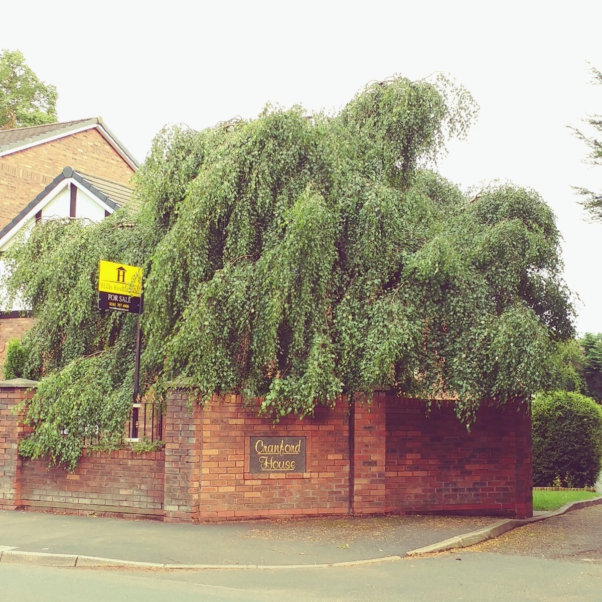 f:id:tra_live:20200704071829j:plain f:id:tra_live:20200704071829j:plain