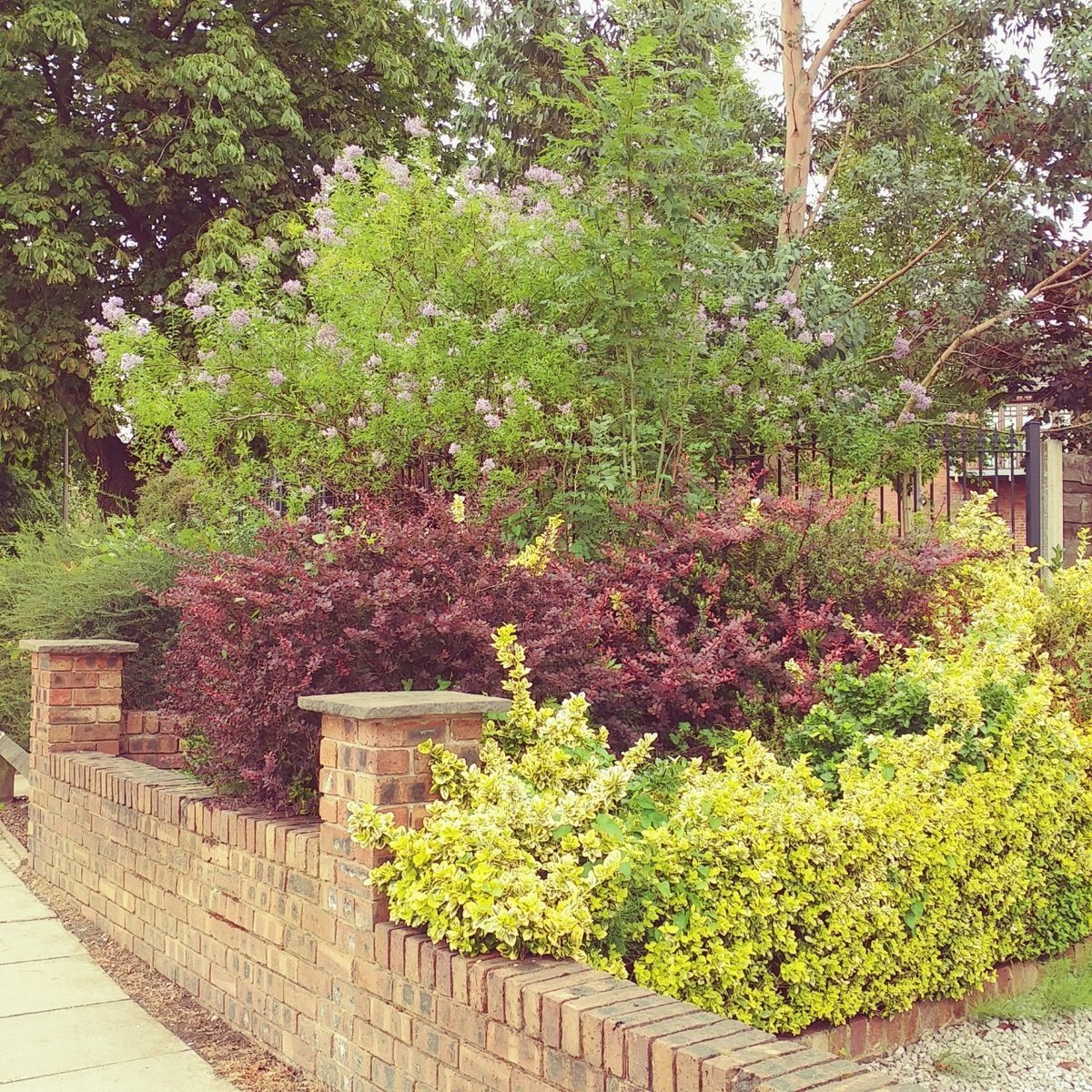 f:id:tra_live:20200704072116j:plain f:id:tra_live:20200704072116j:plain