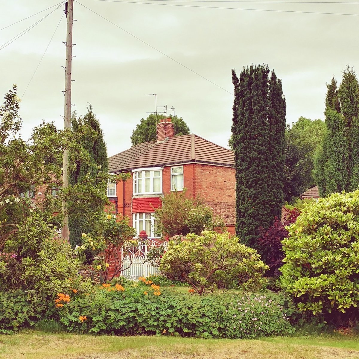 f:id:tra_live:20200704072239j:plain f:id:tra_live:20200704072239j:plain