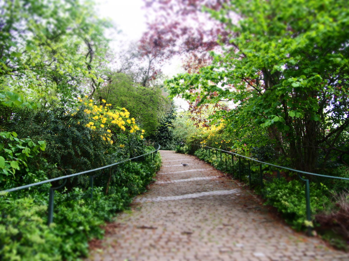 f:id:tra_live:20200707080221j:plain