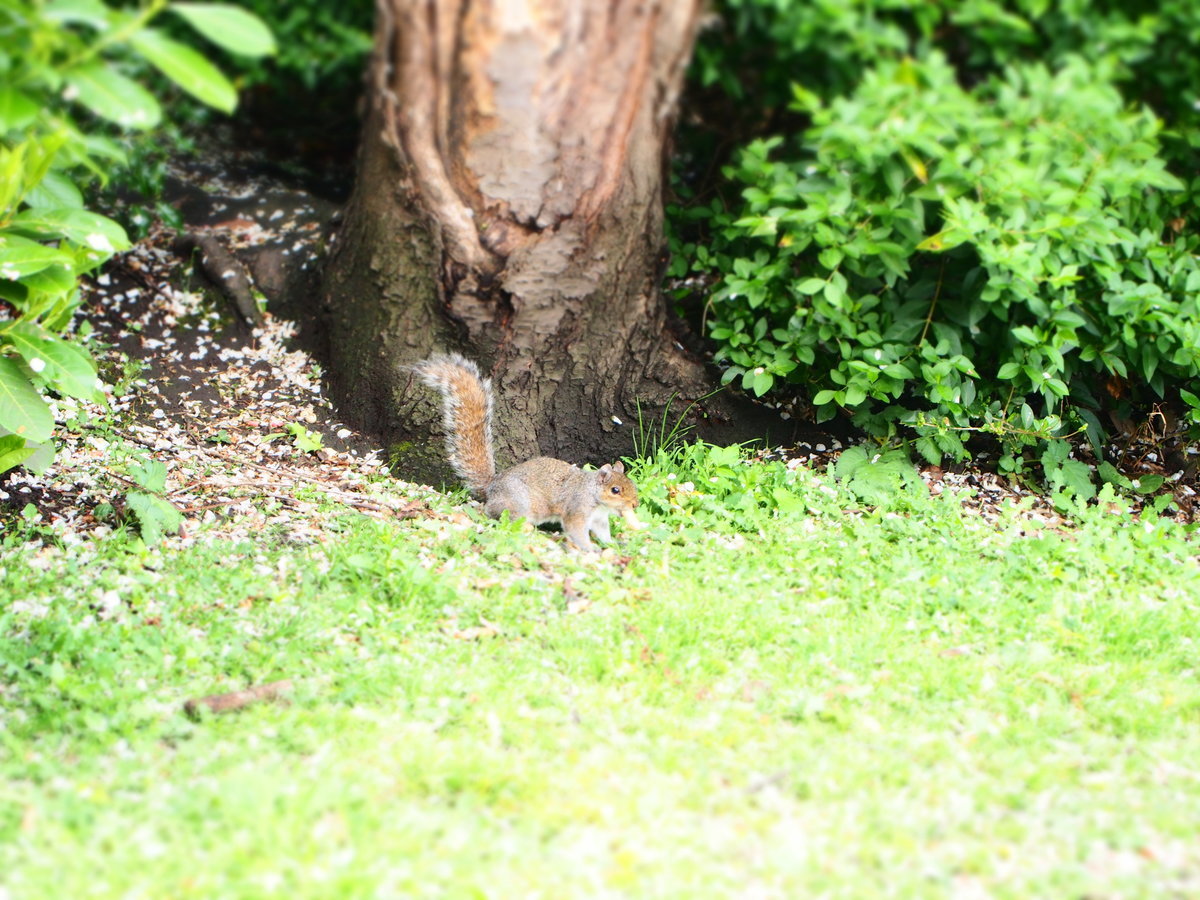 f:id:tra_live:20200707080701j:plain