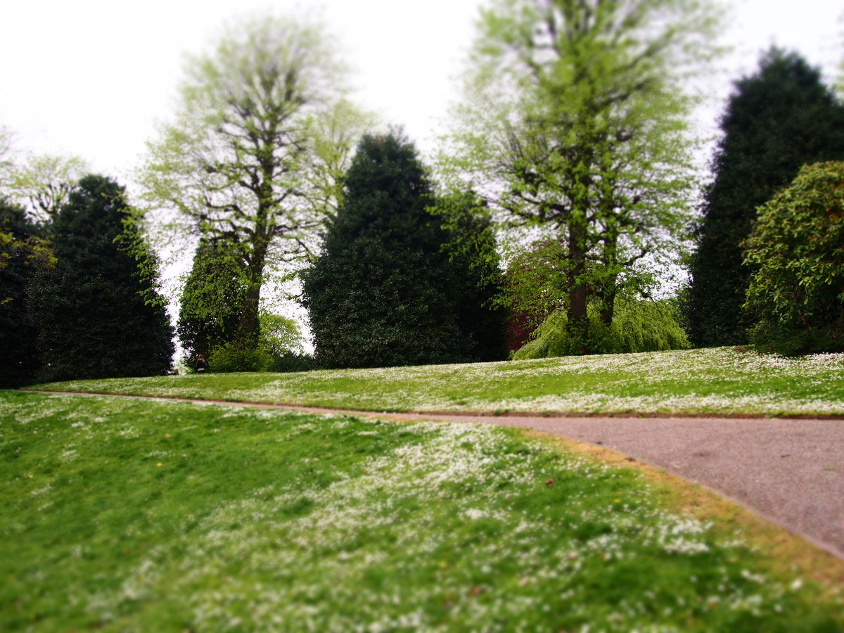 f:id:tra_live:20200707080936j:plain