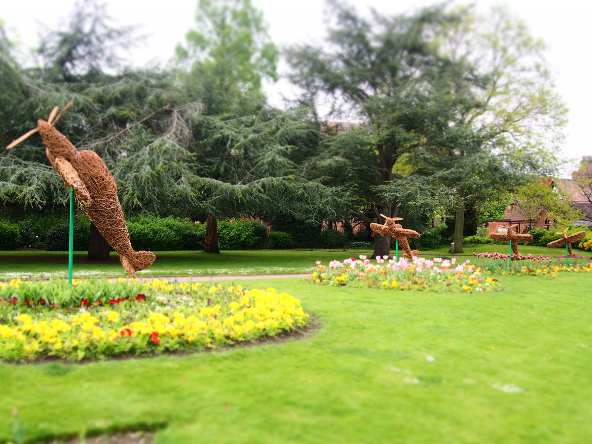 f:id:tra_live:20200707081056j:plain