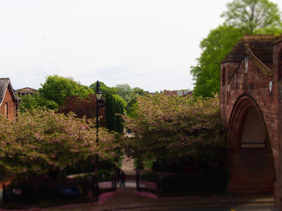 f:id:tra_live:20200707173840j:plain