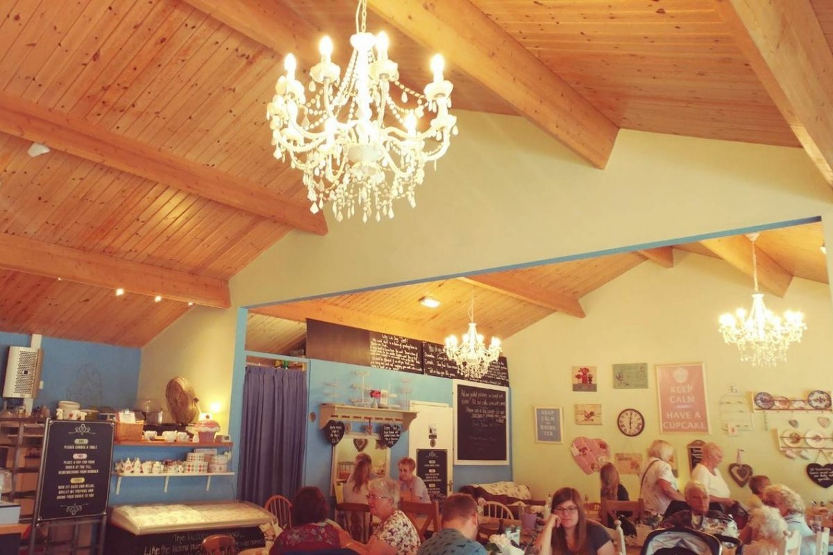 f:id:tra_live:20200711065100j:plain