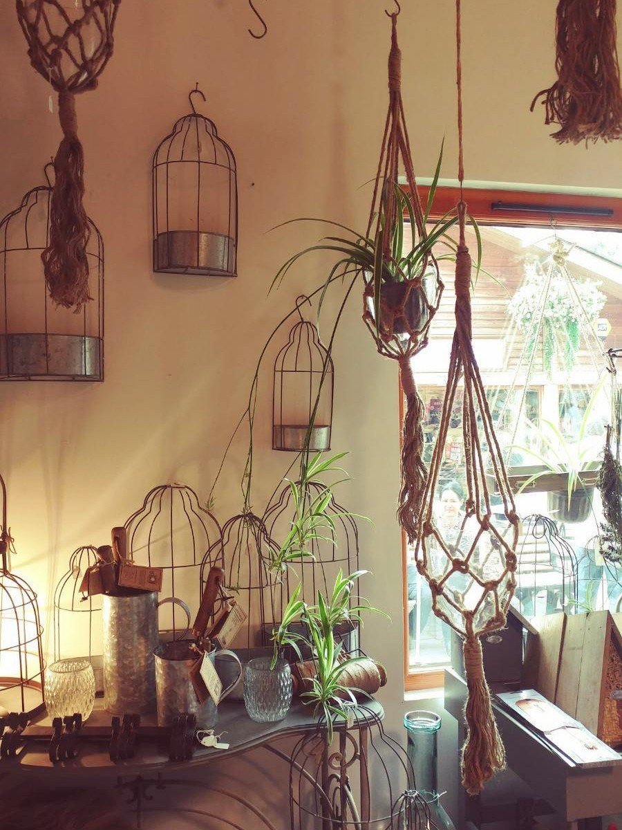 f:id:tra_live:20200711070653j:plain