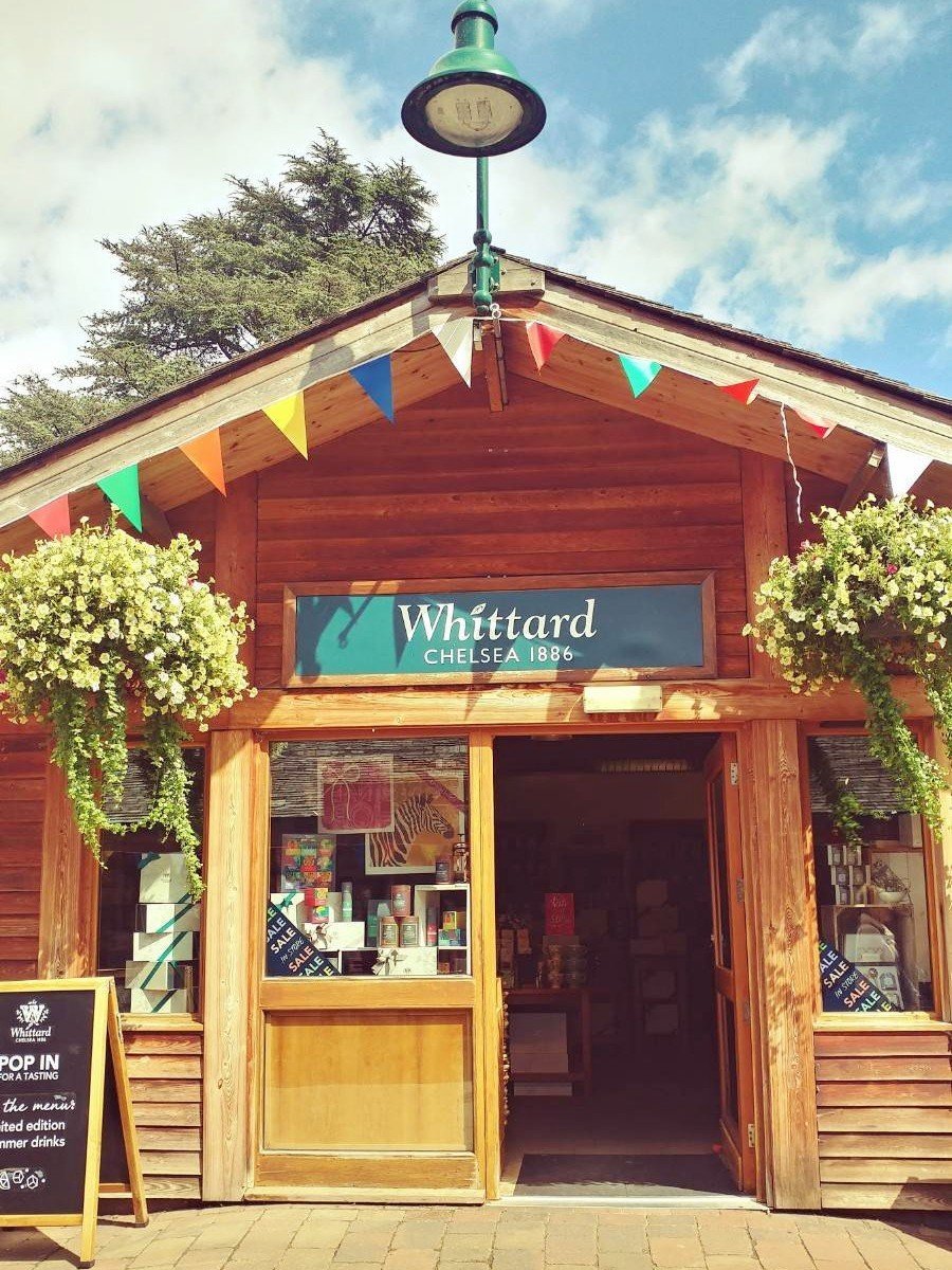 f:id:tra_live:20200711071332j:plain