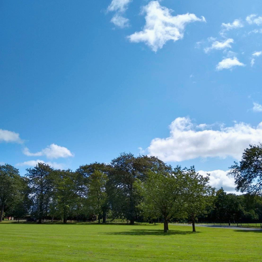 f:id:tra_live:20200711072259j:plain